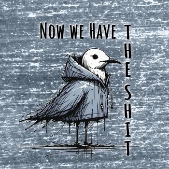 Now we have the Shit